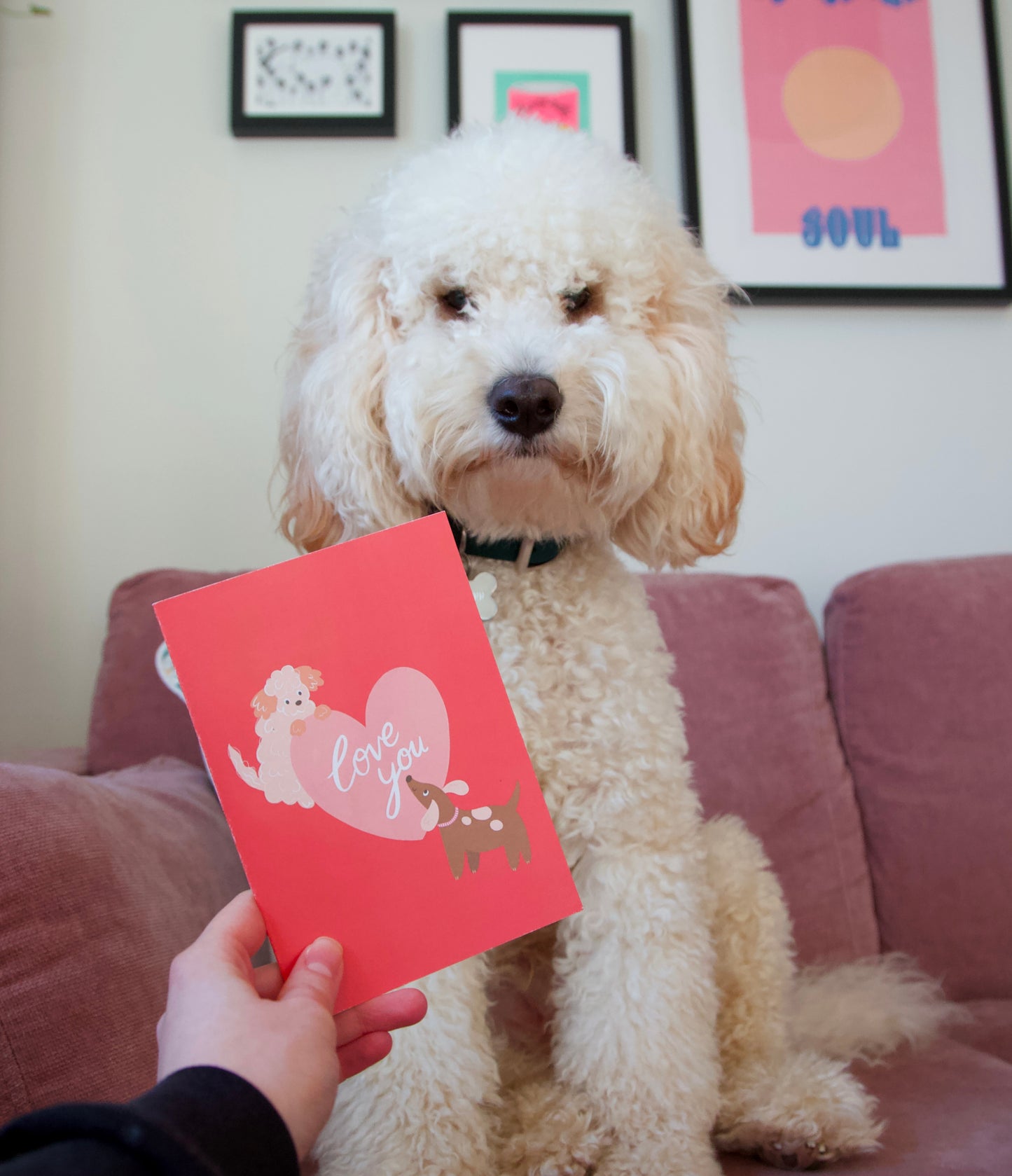 Love You Dogs Card